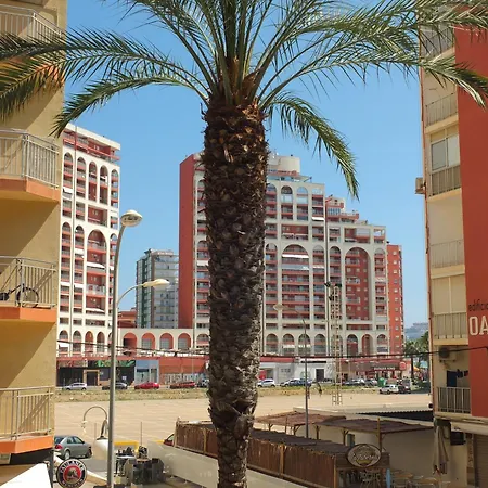 Neptuno Playa San Antonio *